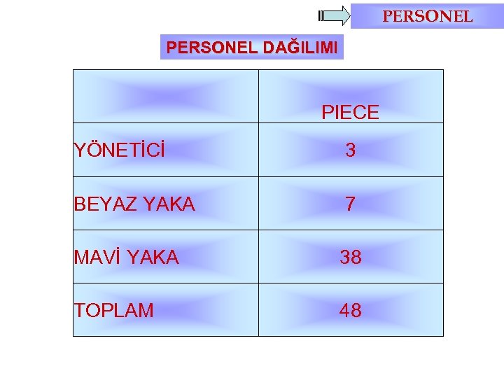 PERSONEL DAĞILIMI PIECE YÖNETİCİ 3 BEYAZ YAKA 7 MAVİ YAKA 38 TOPLAM 48 