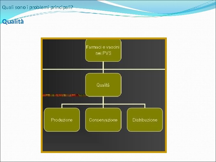 Quali sono i problemi principali? Qualità 