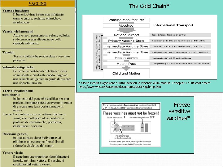 The Cold Chain* * World Health Organization Immunization in Practice 2004 module 3 chapter