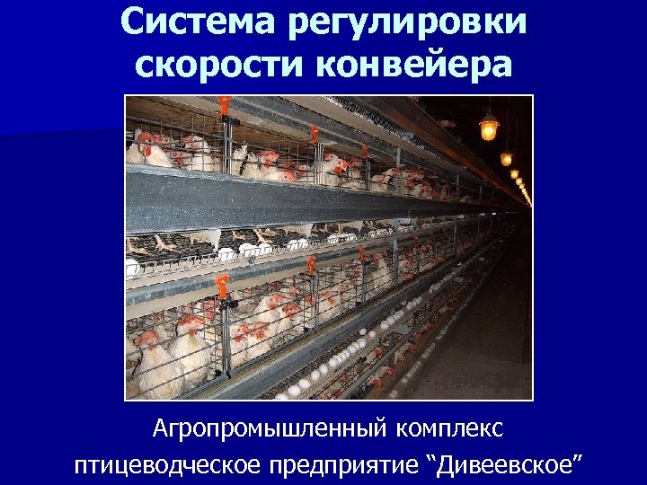 Система регулировки скорости конвейера Агропромышленный комплекс птицеводческое предприятие “Дивеевское” 