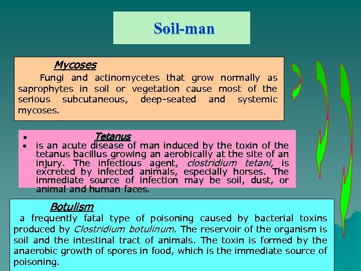 Soil-man Mycoses Fungi and actinomycetes that grow normally as saprophytes in soil or vegetation
