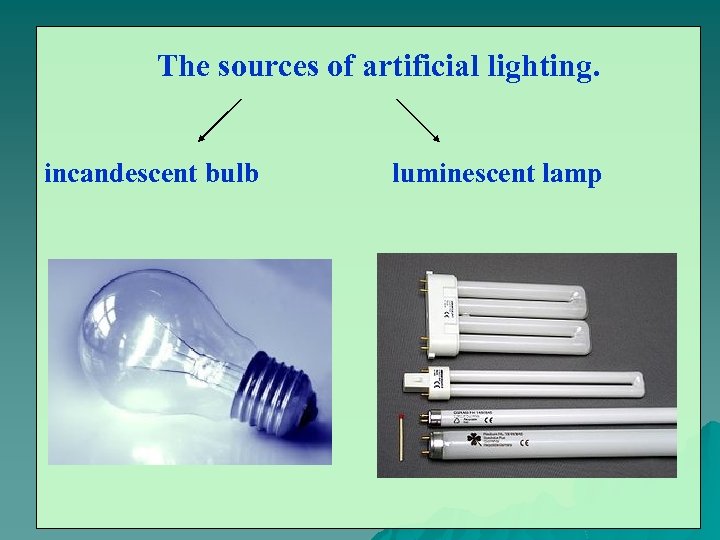  The sources of artificial lighting. incandescent bulb luminescent lamp 