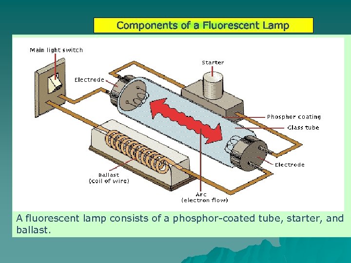 Components of a Fluorescent Lamp A fluorescent lamp consists of a phosphor-coated tube, starter,