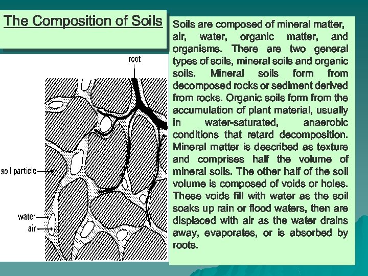 The Composition of Soils are composed of mineral matter, air, water, organic matter, and