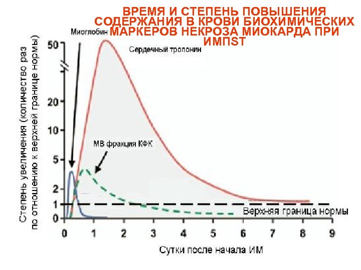 ВРЕМЯ И СТЕПЕНЬ ПОВЫШЕНИЯ СОДЕРЖАНИЯ В КРОВИ БИОХИМИЧЕСКИХ МАРКЕРОВ НЕКРОЗА МИОКАРДА ПРИ ИМПST 