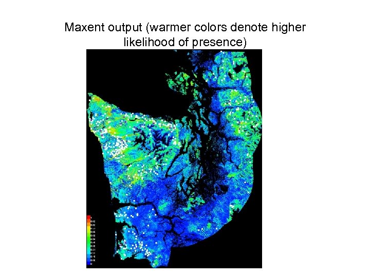 Maxent output (warmer colors denote higher likelihood of presence) 
