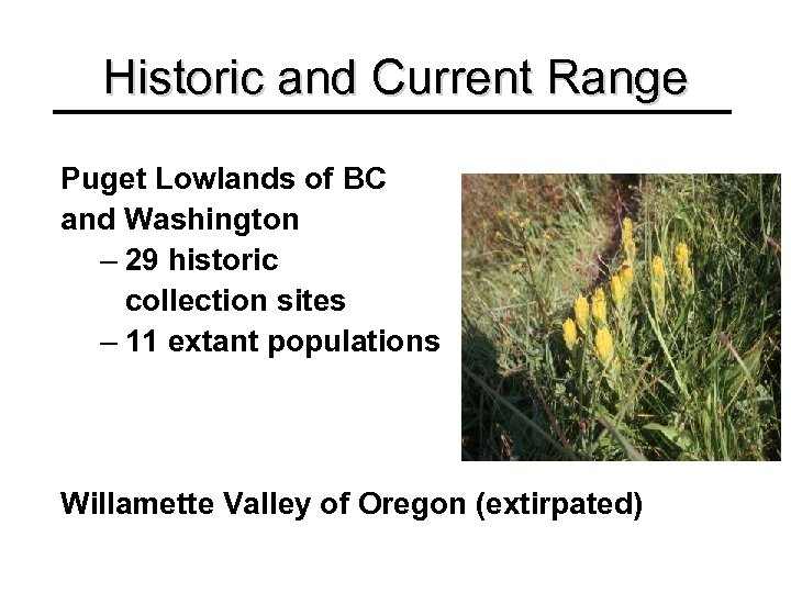 Historic and Current Range Puget Lowlands of BC and Washington – 29 historic collection