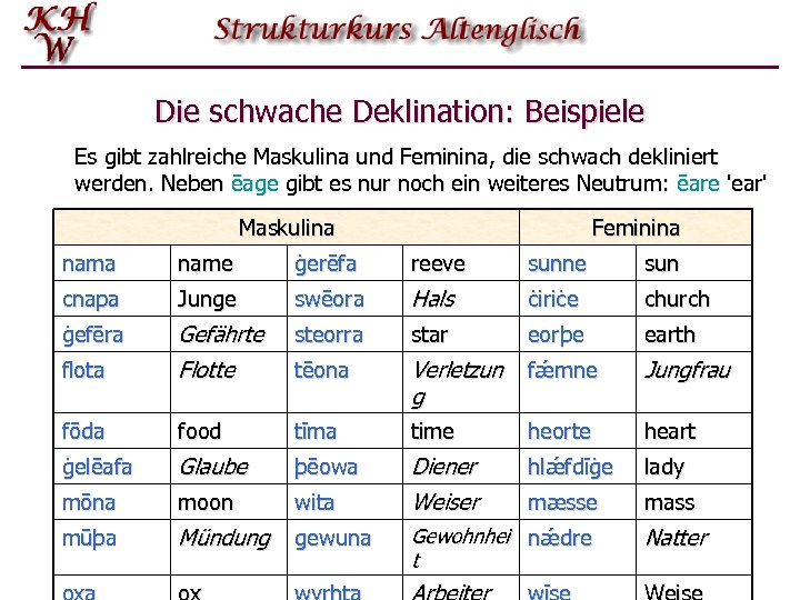 Die schwache Deklination: Beispiele Es gibt zahlreiche Maskulina und Feminina, die schwach dekliniert werden.