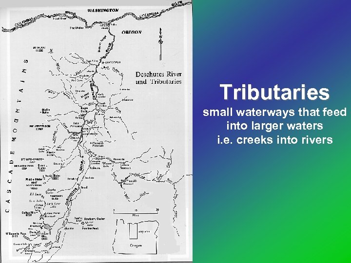 Tributaries small waterways that feed into larger waters i. e. creeks into rivers 