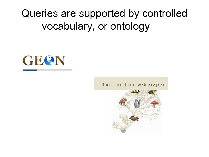 Queries are supported by controlled vocabulary, or ontology 
