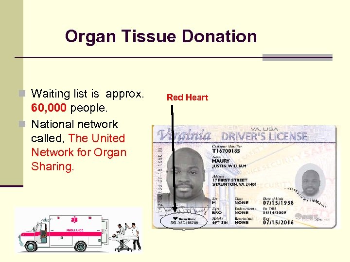 Organ Tissue Donation n Waiting list is approx. 60, 000 people. n National network