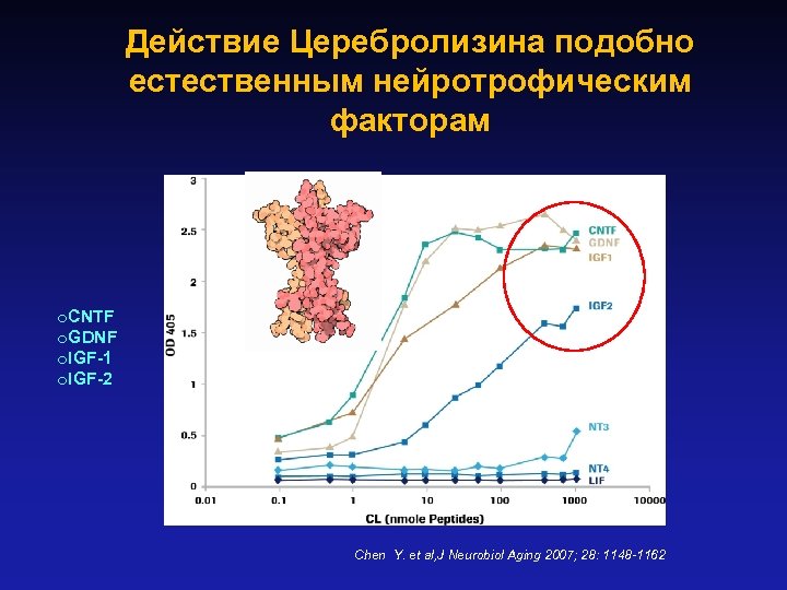 Действие Церебролизина подобно естественным нейротрофическим факторам o. CNTF o. GDNF o. IGF-1 o. IGF-2