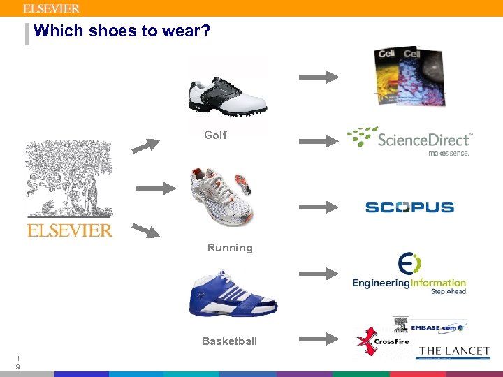 Which shoes to wear? Golf Running Basketball 1 9 