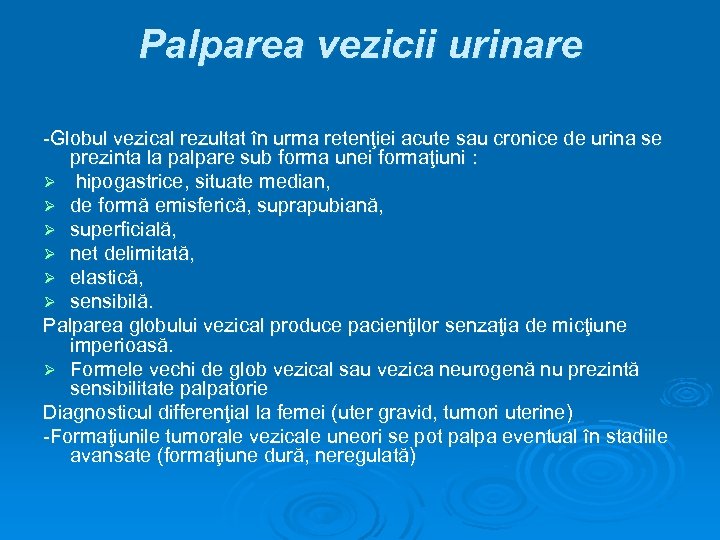 Glob Vezical - definitie | fanfarapr.ro