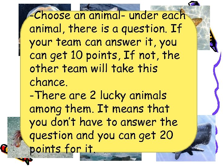 -Choose an animal- under each animal, there is a question. If your team can
