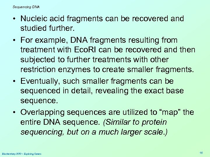 Sequencing DNA • Nucleic acid fragments can be recovered and studied further. • For