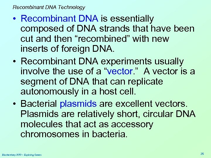 Recombinant DNA Technology • Recombinant DNA is essentially composed of DNA strands that have