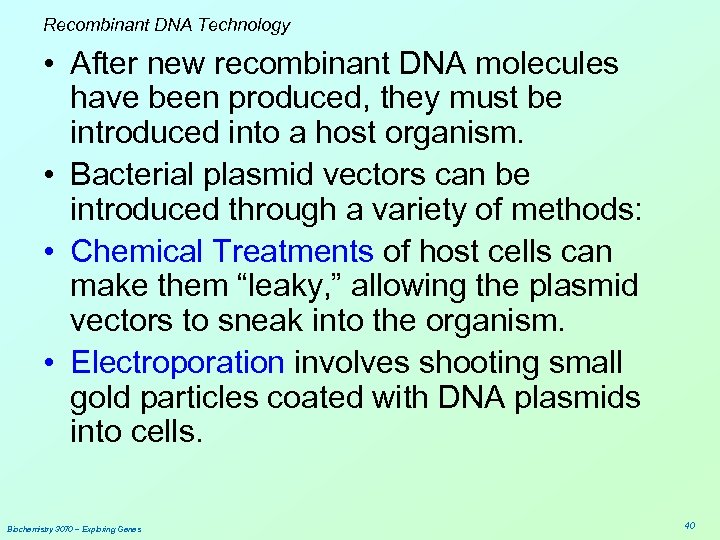 Recombinant DNA Technology • After new recombinant DNA molecules have been produced, they must