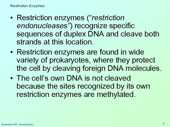 Restriction Enzymes • Restriction enzymes (“restriction endonucleases”) recognize specific sequences of duplex DNA and