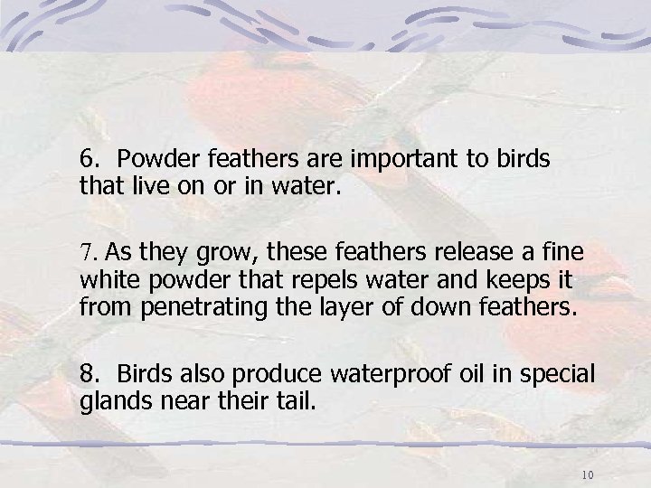6. Powder feathers are important to birds that live on or in water. 7.