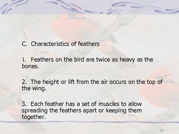 C. Characteristics of feathers 1. Feathers on the bird are twice as heavy as