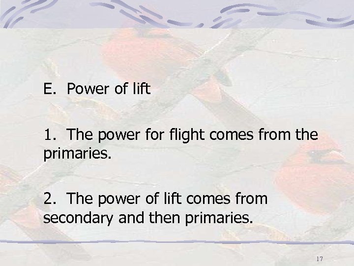 E. Power of lift 1. The power for flight comes from the primaries. 2.