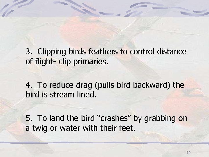 3. Clipping birds feathers to control distance of flight- clip primaries. 4. To reduce
