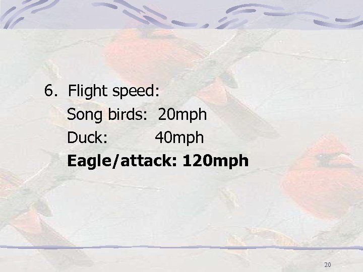 6. Flight speed: Song birds: 20 mph Duck: 40 mph Eagle/attack: 120 mph 20