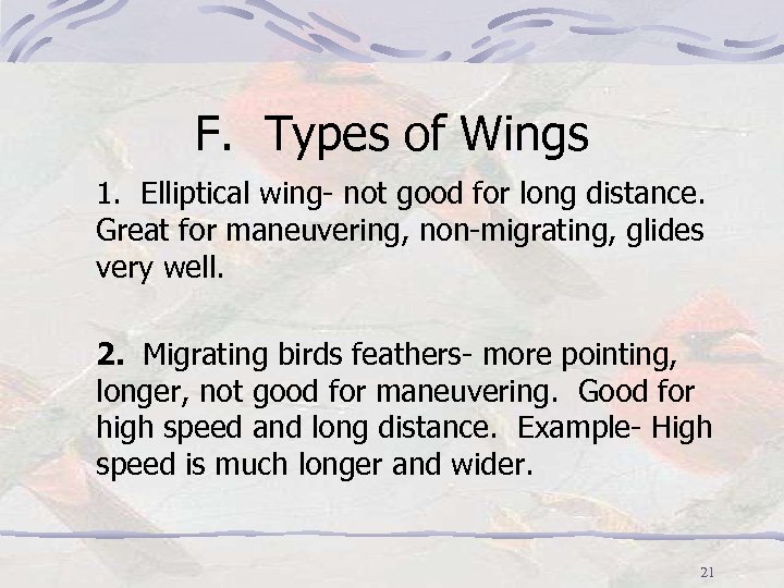 F. Types of Wings 1. Elliptical wing- not good for long distance. Great for