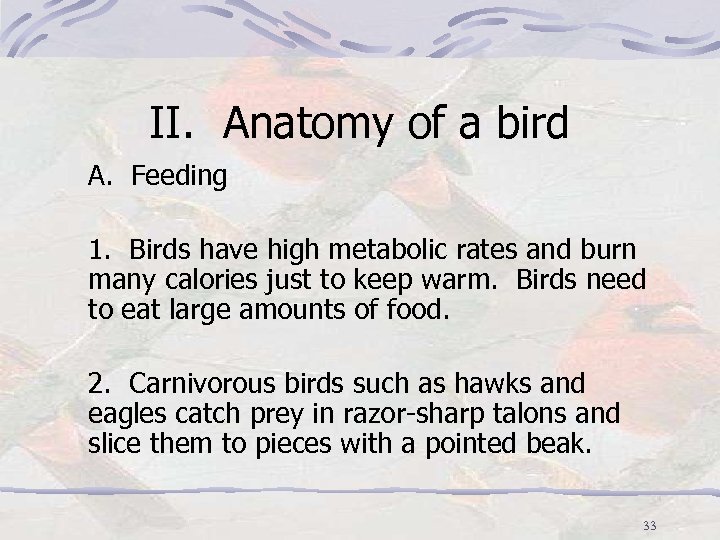 II. Anatomy of a bird A. Feeding 1. Birds have high metabolic rates and