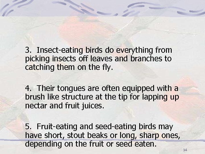 3. Insect-eating birds do everything from picking insects off leaves and branches to catching