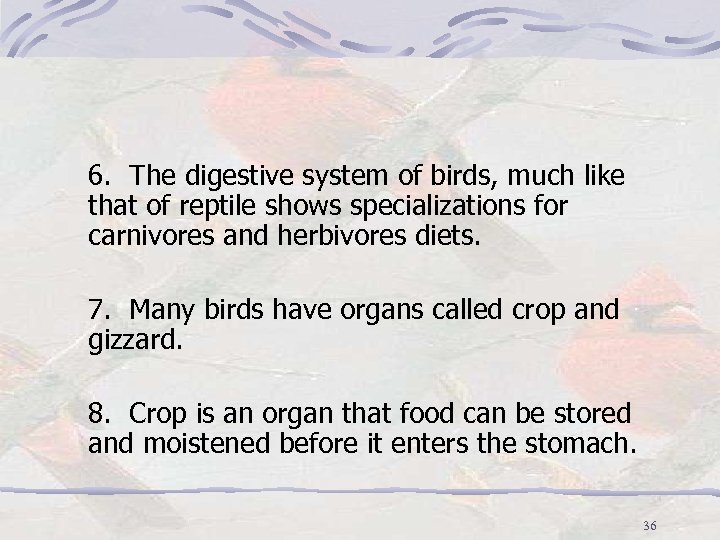6. The digestive system of birds, much like that of reptile shows specializations for