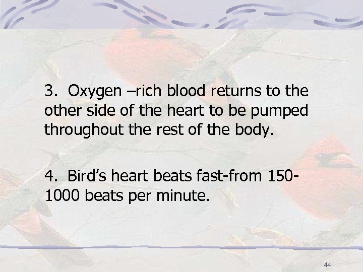 3. Oxygen –rich blood returns to the other side of the heart to be