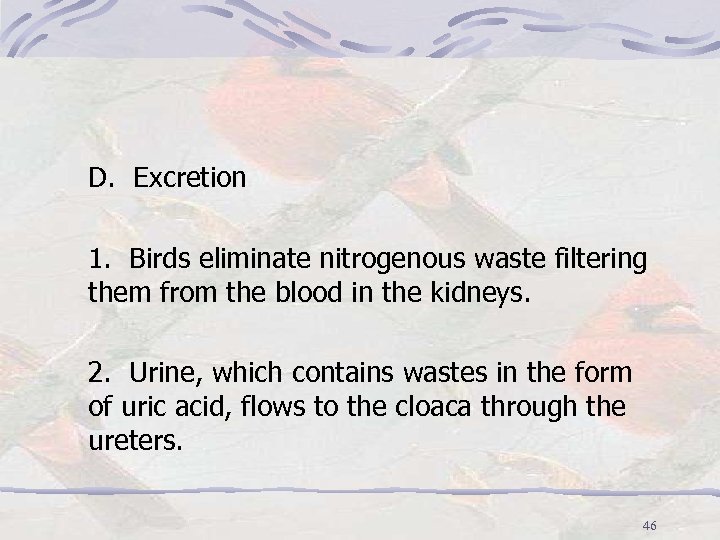 D. Excretion 1. Birds eliminate nitrogenous waste filtering them from the blood in the