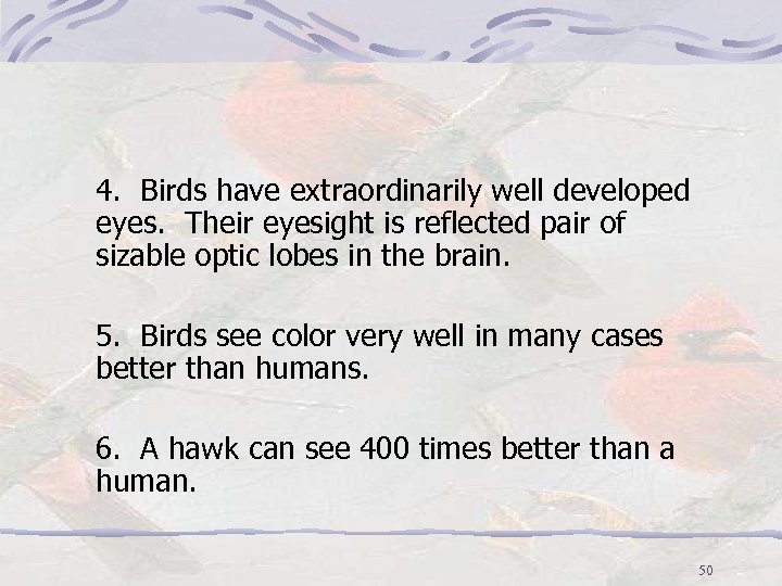 4. Birds have extraordinarily well developed eyes. Their eyesight is reflected pair of sizable