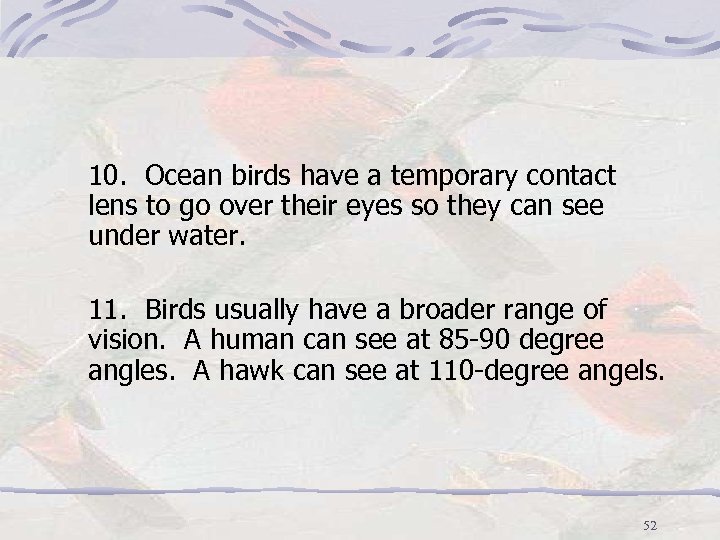 10. Ocean birds have a temporary contact lens to go over their eyes so