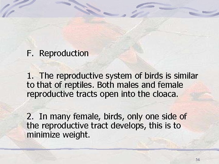 F. Reproduction 1. The reproductive system of birds is similar to that of reptiles.