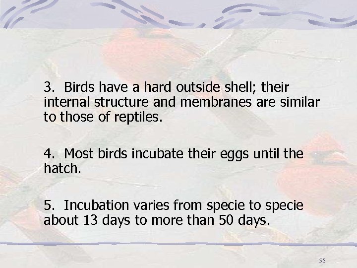 3. Birds have a hard outside shell; their internal structure and membranes are similar