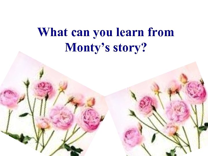 What can you learn from Monty’s story? 