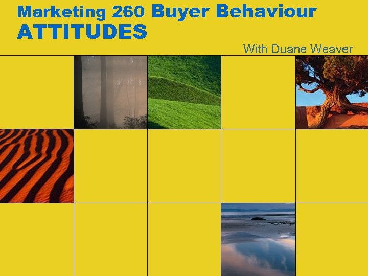 Marketing 260 Buyer Behaviour ATTITUDES With Duane Weaver 