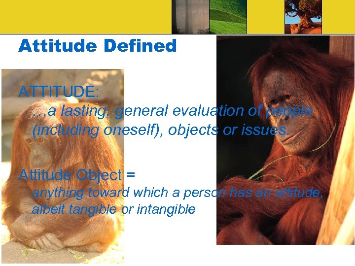 Attitude Defined ATTITUDE: …a lasting, general evaluation of people (including oneself), objects or issues.