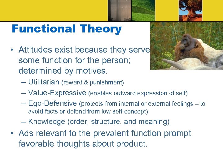 Functional Theory • Attitudes exist because they serve some function for the person; determined