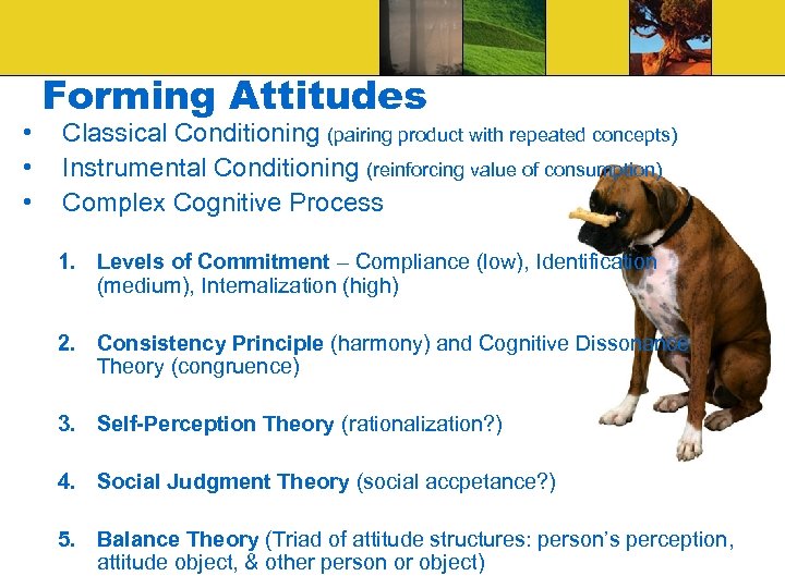  • • • Forming Attitudes Classical Conditioning (pairing product with repeated concepts) Instrumental