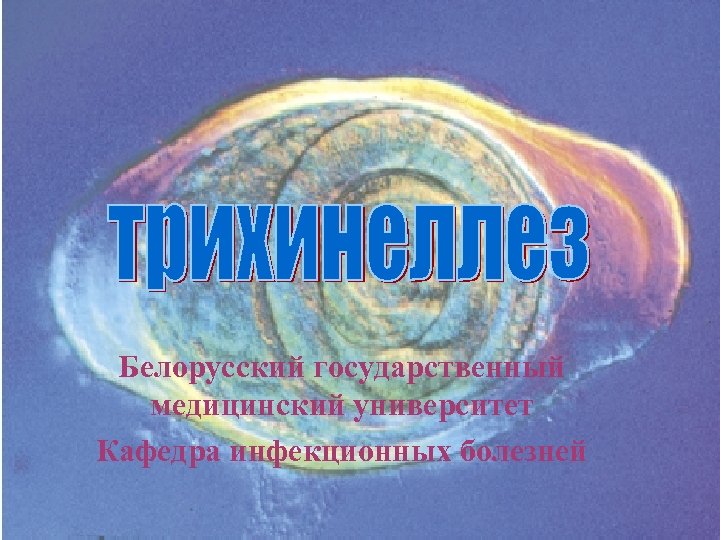 Белорусский государственный медицинский университет Кафедра инфекционных болезней 