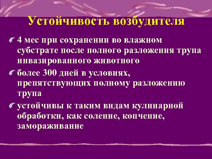 Устойчивость возбудителя 4 мес при сохранении во влажном субстрате после полного разложения трупа инвазированного