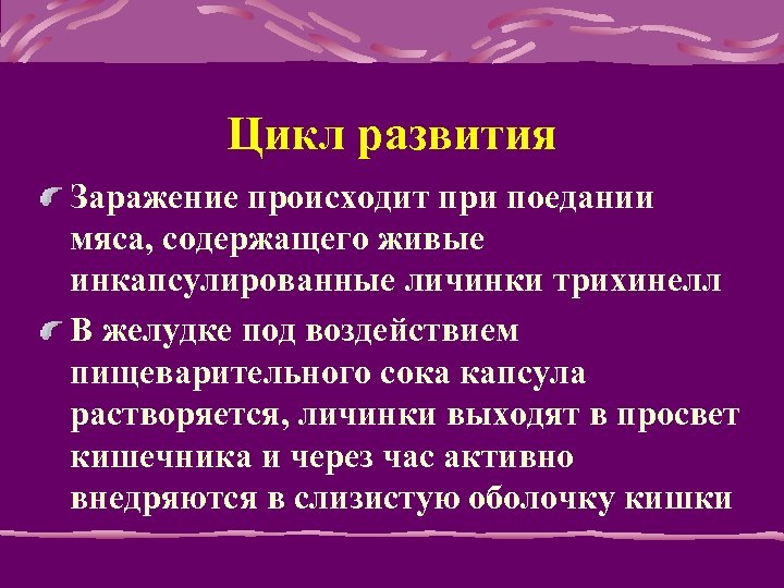 Цикл развития Заражение происходит при поедании мяса, содержащего живые инкапсулированные личинки трихинелл В желудке