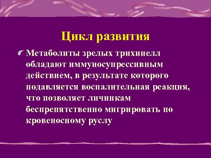 Цикл развития Метаболиты зpелых тpихинелл обладают иммуносупpессивным действием, в результате которого подавляется воспалительная pеакция,