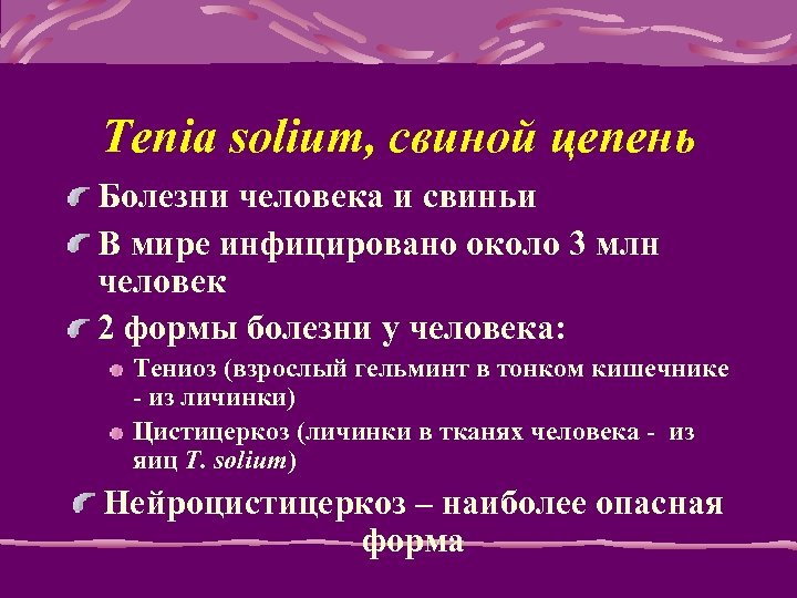 Tenia solium, свиной цепень Болезни человека и свиньи В мире инфицировано около 3 млн