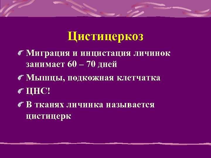 Цистицеркоз Миграция и инцистация личинок занимает 60 – 70 дней Мышцы, подкожная клетчатка ЦНС!