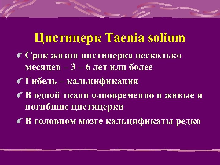 Цистицерк Taenia solium Срок жизни цистицерка несколько месяцев – 3 – 6 лет или